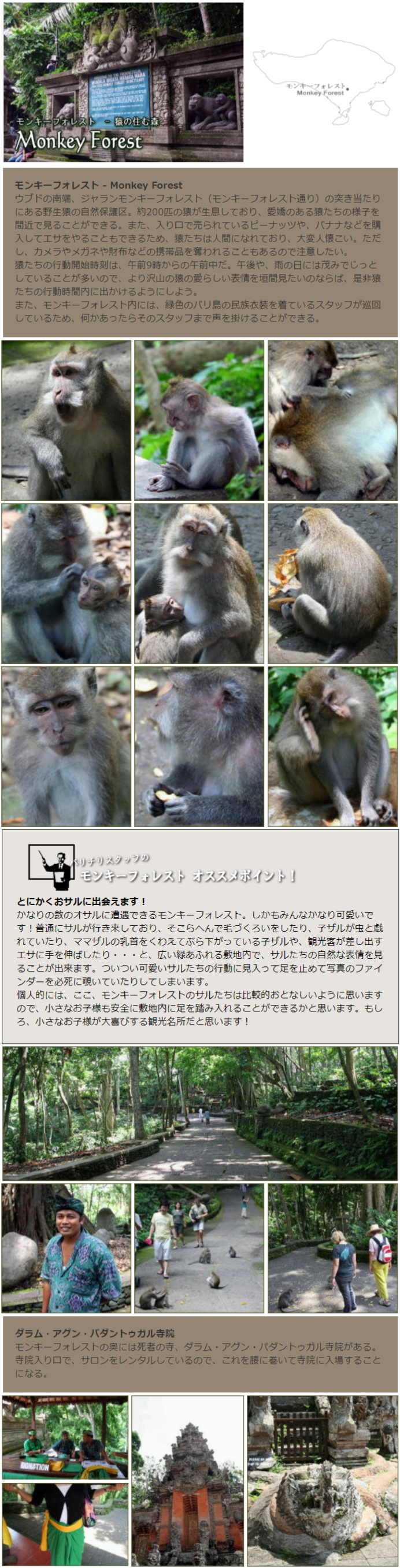 モンキーフォレストの説明