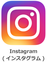instagram icon