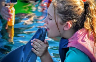 バリ・ドルフィンロッジのイルカのキス（少年）