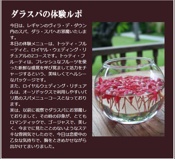 ダラスパ体験①の説明１