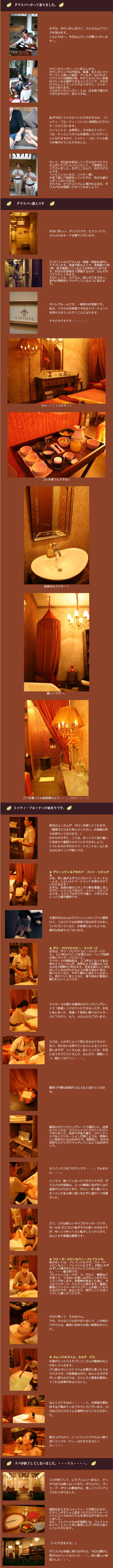 ダラスパ体験①の説明２