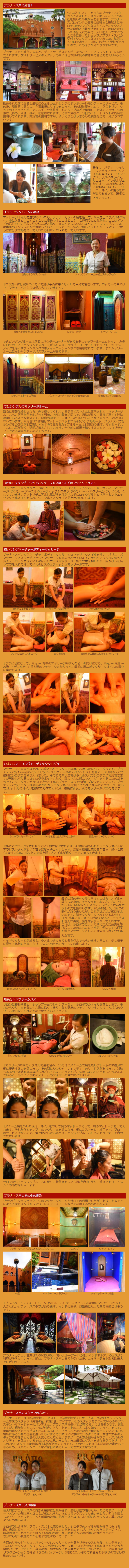 プラナスパ体験３の説明