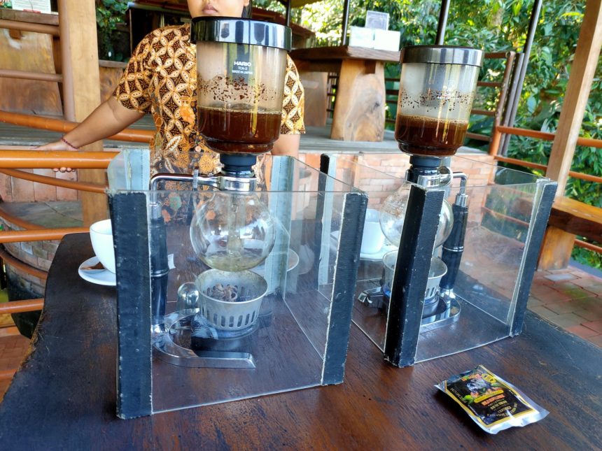 コーヒー農園でのルアクコーヒー