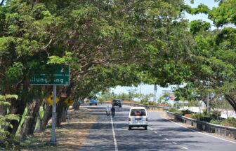 バリ島の道路２